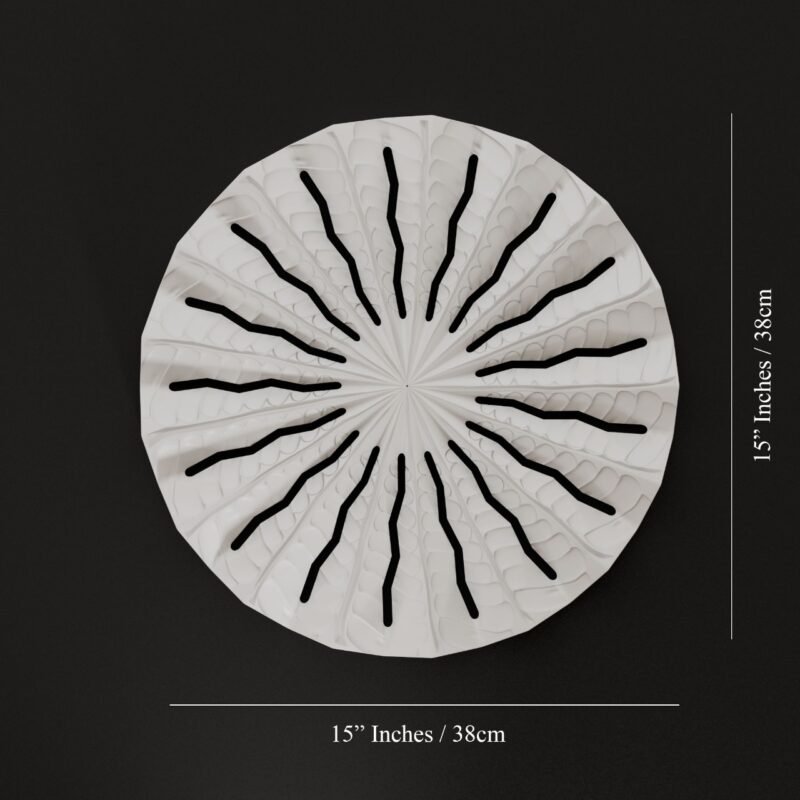 WhatsApp Image 2026-02-19 at 2.46.45 PM (1)