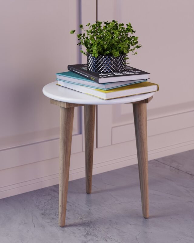 WhatsApp Image 2026-02-19 at 2.47.03 PM